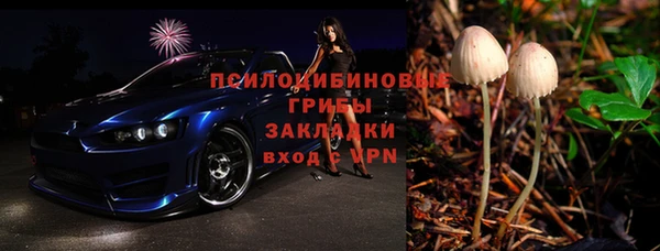 сатива Абаза