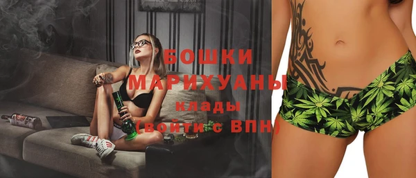 сатива Абаза