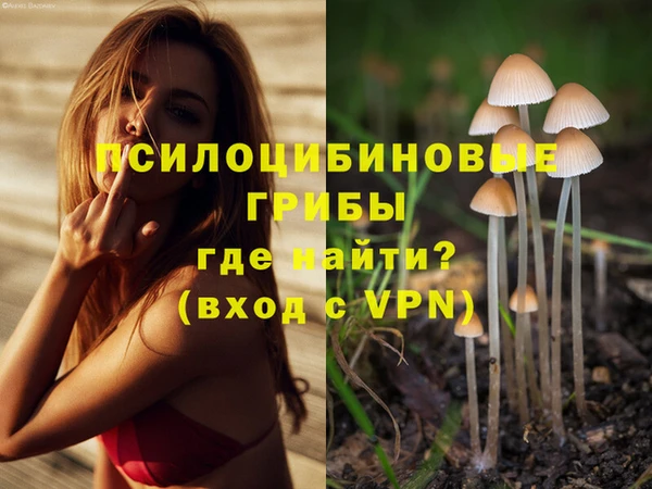 сатива Абаза