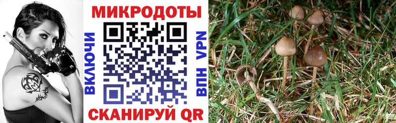 Псилоцибиновые грибы MAGIC MUSHROOMS  Ханты-Мансийск 